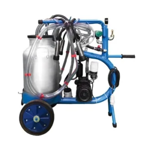 شیر دوش دام